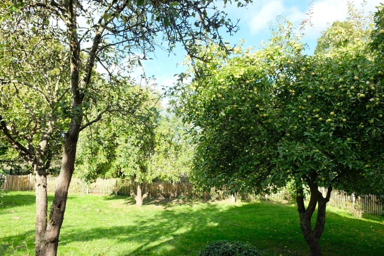 Urlaubsoase Ostsee Hohen Schoenberg Εξωτερικό φωτογραφία