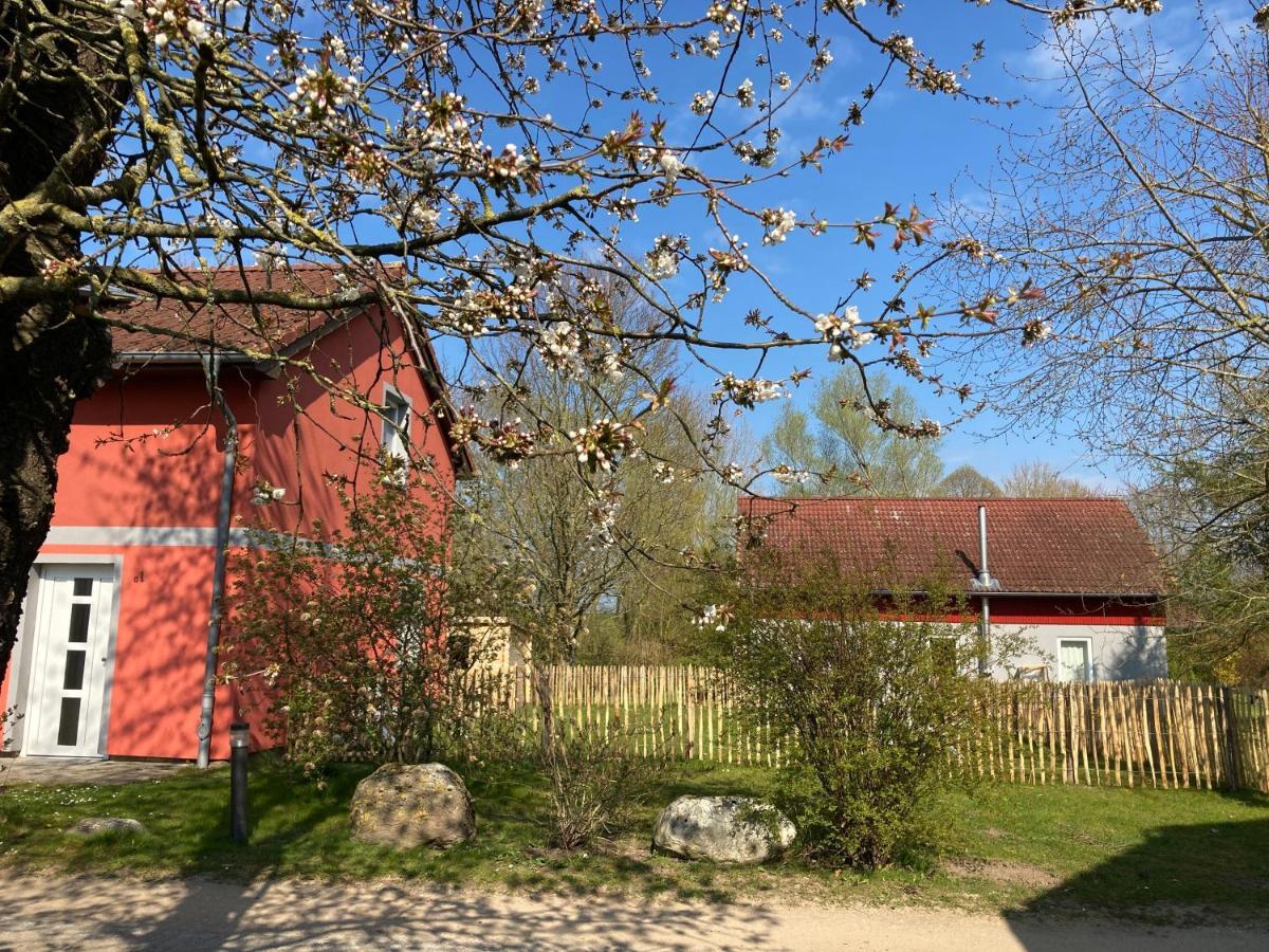Urlaubsoase Ostsee Hohen Schoenberg Εξωτερικό φωτογραφία